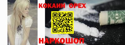 дмт Новокубанск