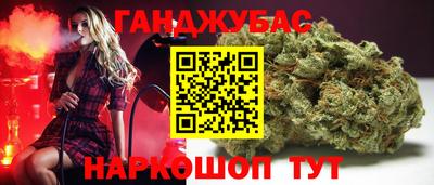 дмт Новокубанск