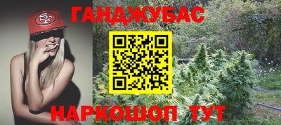 дмт Новокубанск