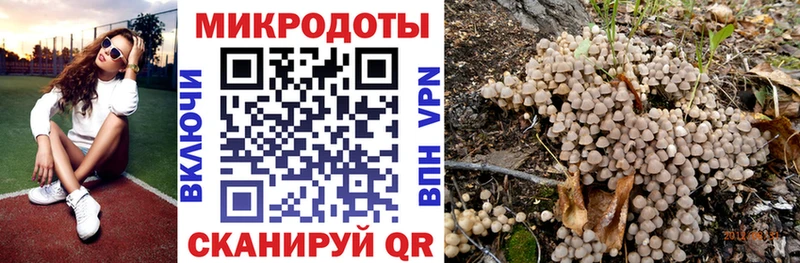 Галлюциногенные грибы мухоморы  blacksprut вход  Черемхово 