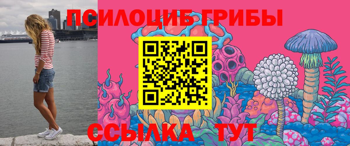 Черемхово  Псилоцибиновые грибы мицелий  где можно купить наркотик  Вход с VPN 